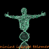 laminine-protejeaza-telomerii-lifepharm-terapeut-brinzoi-silviu